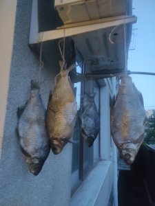 IMG_20250608_210825.jpg