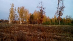 DSC_0014.jpg