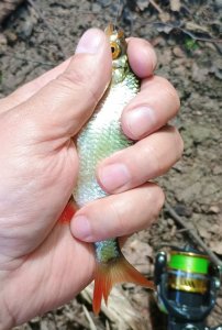 IMG_20250624_113345035 (1).jpg
