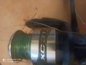 IMG_20250529_104518.jpg