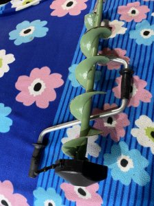 IMG_7960.jpeg