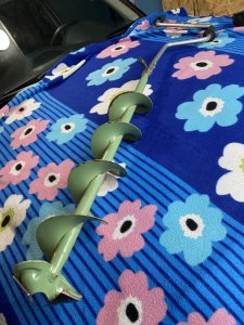 IMG_7959.jpeg