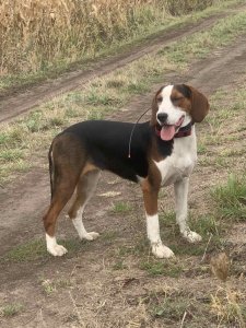 Адель рік _2024-09-15_ (6).jpg