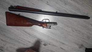 20260310_062238.jpg