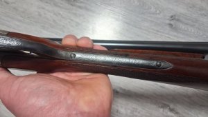 20260310_062346.jpg