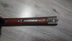 20260310_062355.jpg