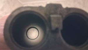 20260310_062424.jpg