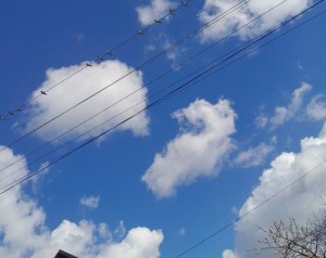 20260407_105228.jpg