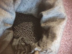 IMG_20260506_123918.jpg