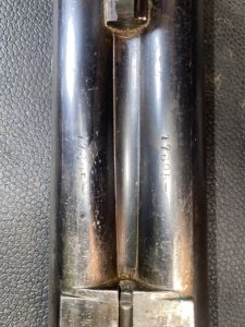 IMG_0053.jpeg