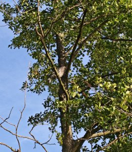 IMG_20260629_083009.jpg