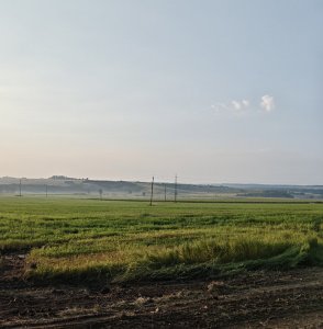IMG_20260808_093858.jpg