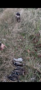IMG_0773.jpeg