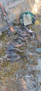 IMG_0774.jpeg