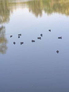 IMG_20260831_175849.jpg