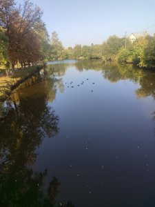 IMG_20260831_175856.jpg