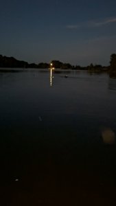 20260905_202823.jpg
