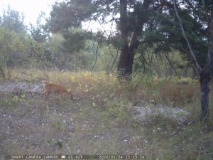 PTDC0643.JPG