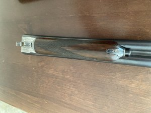 IMG_4421.jpeg