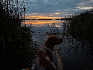 20260925_192422.jpg