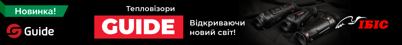 Ibis Irbis