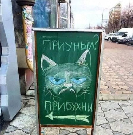 прибухни.jpg