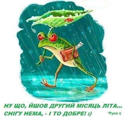 снігу нема.jpg